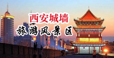欧美翘臀大屌中国陕西-西安城墙旅游风景区